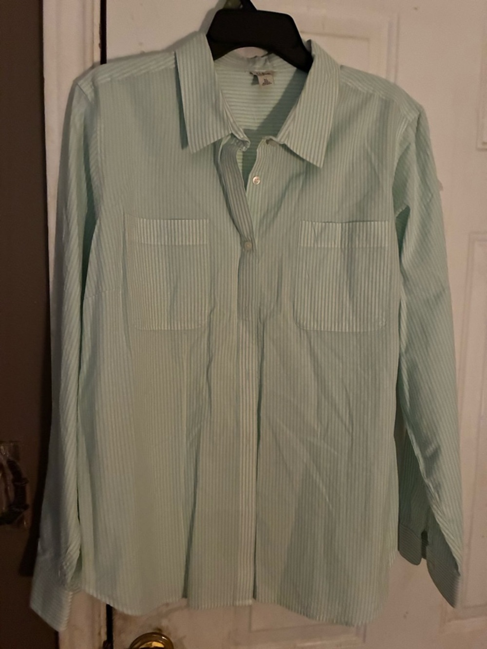 L.L. Bean Mint Green Striped Button-Down Shirt size xl women